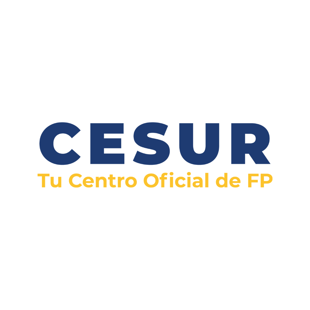 Company cesur